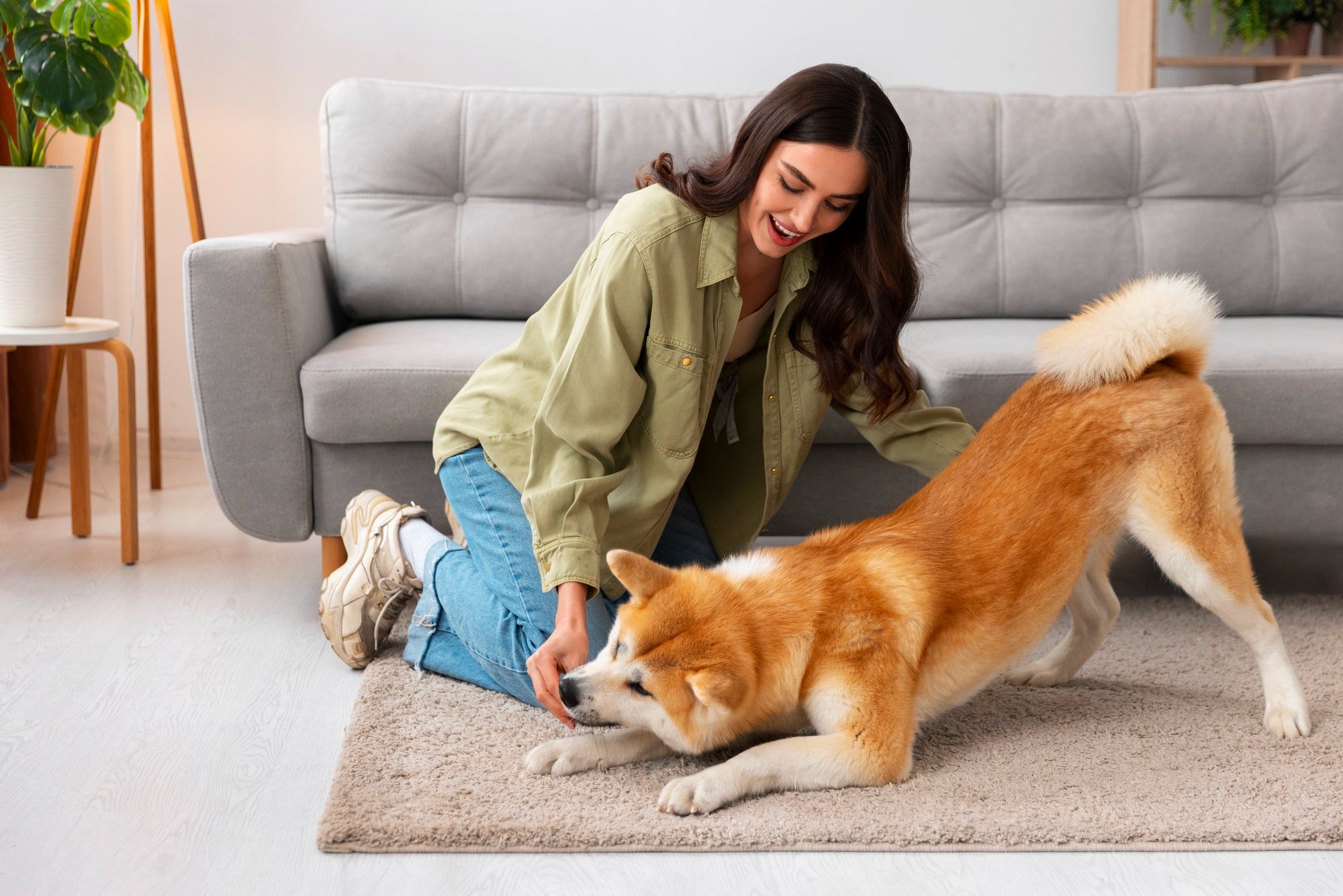 Happy Pets